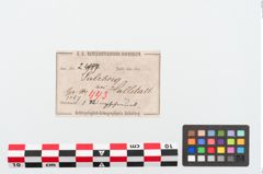 Etiketten zu Bronzegehänge (NHMW-PRAE-024987)